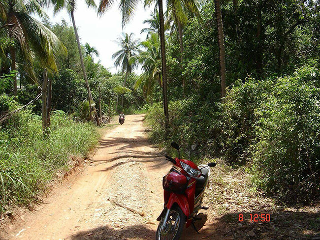 ที่ดินเปล่า เกาะยาวใหญ่ จ.พังงา 9-1-40 ไร่ รูปที่ 6