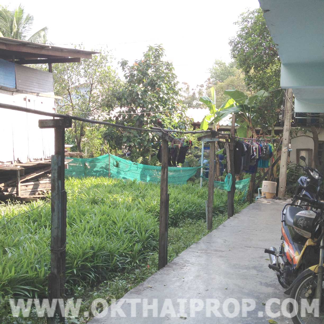 ที่ดิน บางขุนเทียน รูปที่ 3