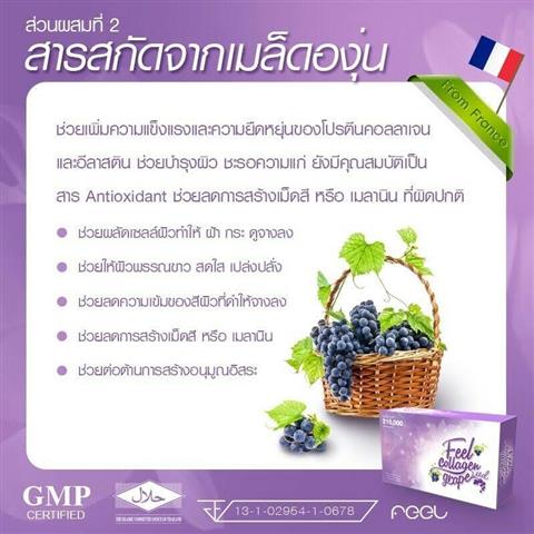 Feel Collagen ผิวสวยสุขภาพดีแบบญี่ปุ่นได้ไม่ยาก เพียงแค่ ฉีก ชง ดื่ม วันละ 1 ซอง รูปที่ 5