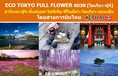 ทัวร์ญี่ปุ่น เที่ยวญี่ปุ่นเมษายน 2560 ชมชิบะซากุระ(พิ้งมอส) โตเกียว-ฟูจิ  ECO TOKYO FULL FLOWER 6D3N สายการบินไทย