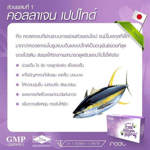 Feel Collagen ผิวสวยสุขภาพดีแบบญี่ปุ่นได้ไม่ยาก เพียงแค่ ฉีก ชง ดื่ม วันละ 1 ซอง รูปที่ 4