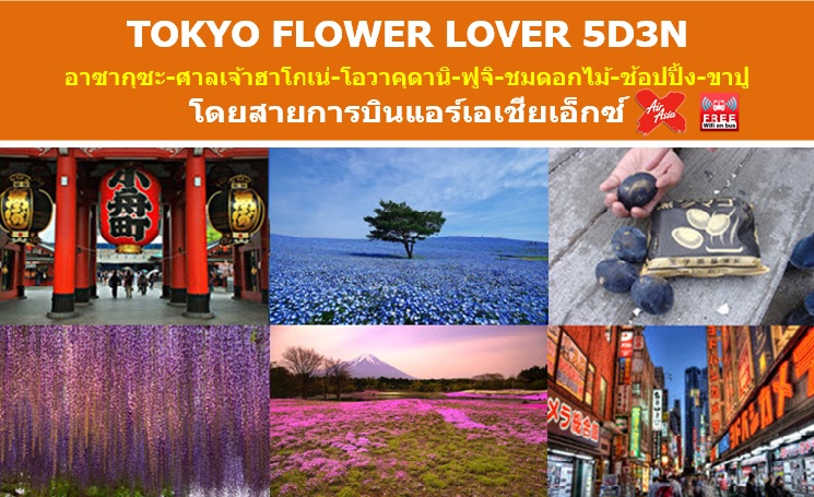 ทัวร์ญี่ปุ่น เที่ยวญี่ปุ่นเมษายน 2560/2017 อาซากุซะ-ศาลเจ้าฮาโกเน่ TOKYO FLOWER LOVER 5D3N สายการบินแอร์เอเชียเอ็กซ์ รูปที่ 1