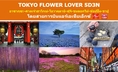 ทัวร์ญี่ปุ่น เที่ยวญี่ปุ่นเมษายน 2560/2017 อาซากุซะ-ศาลเจ้าฮาโกเน่ TOKYO FLOWER LOVER 5D3N สายการบินแอร์เอเชียเอ็กซ์