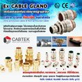 Cable Gland กันระเบิด EX Cable Gland