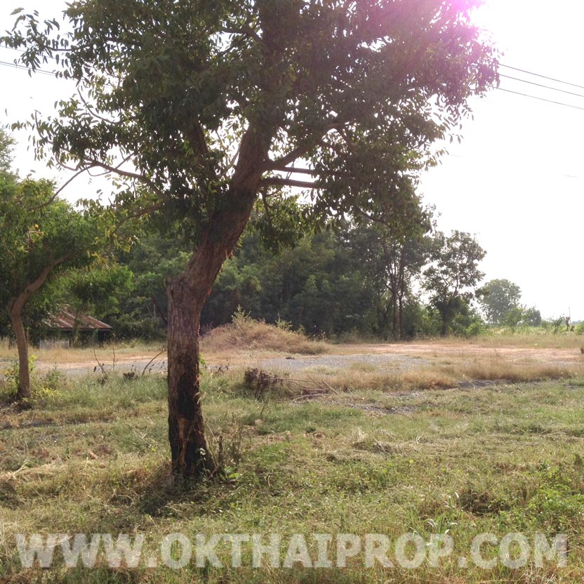ที่ดิน 7 ไร่ 3 งาน 62 ตรว. ถ.บ่อพลอย-ห้วยกระเจา ต.สระลงเรือ จ.กาญจนบุรี รูปที่ 6