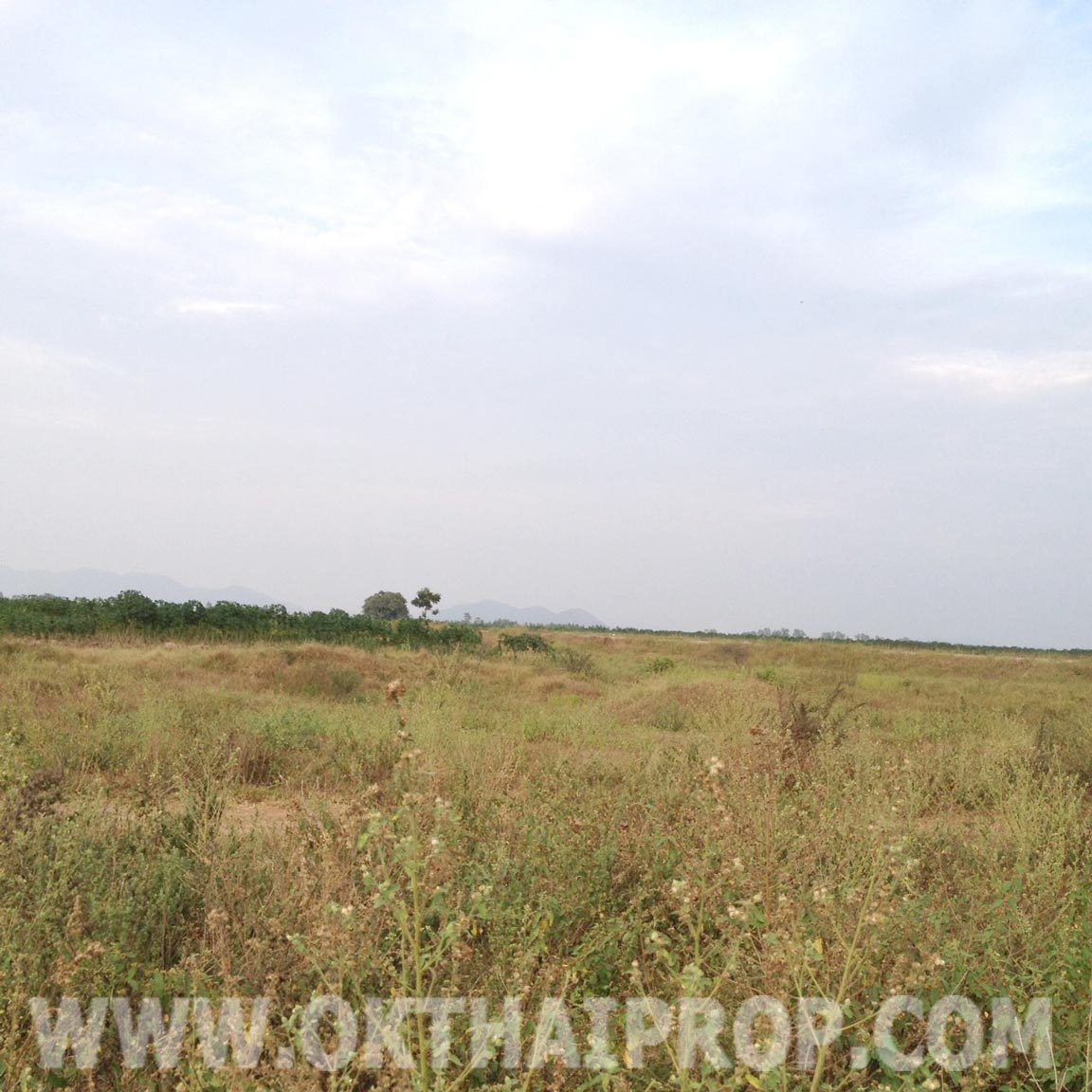 ที่ดิน 21 ไร่ 2 งาน 80 ตรว. ถ.บ่อพลอย-ห้วยกระเจา ต.สระลงเรือ จ.กาญจนบุรี รูปที่ 5