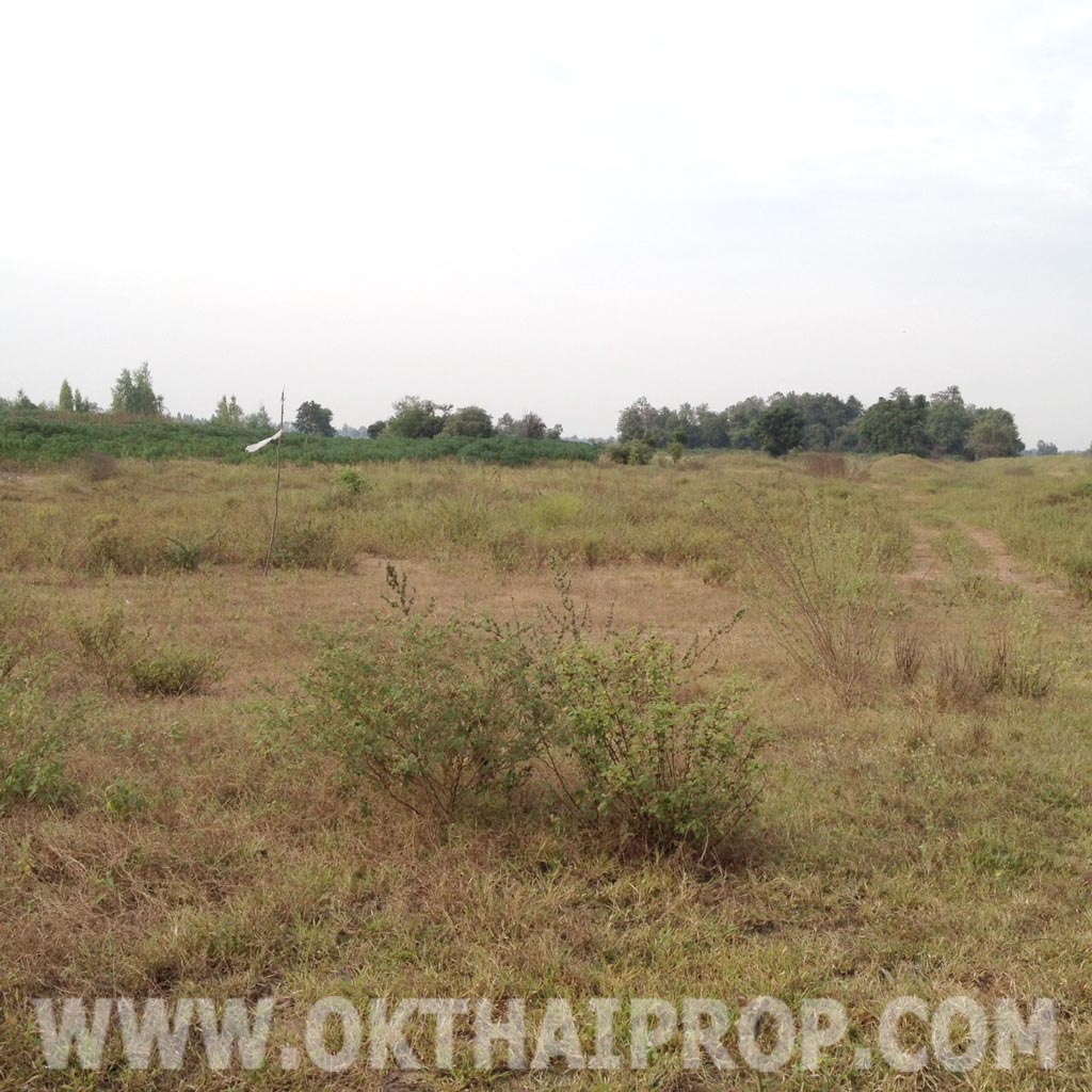 ที่ดิน 21 ไร่ 2 งาน 80 ตรว. ถ.บ่อพลอย-ห้วยกระเจา ต.สระลงเรือ จ.กาญจนบุรี รูปที่ 6