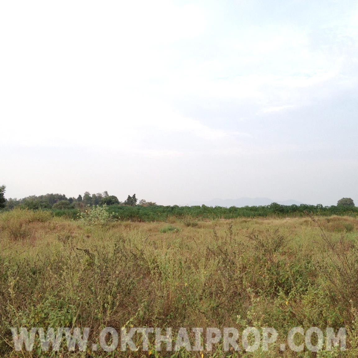 ที่ดิน 21 ไร่ 2 งาน 80 ตรว. ถ.บ่อพลอย-ห้วยกระเจา ต.สระลงเรือ จ.กาญจนบุรี รูปที่ 4