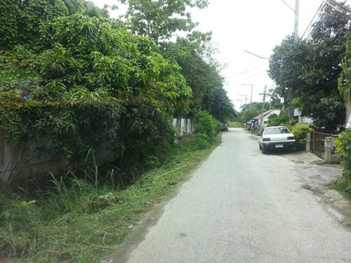 ขายที่ดิน 4 ไร่ พร้อมบ้านพัก ซอยโชตนา20 เชียงใหม่ รูปที่ 2