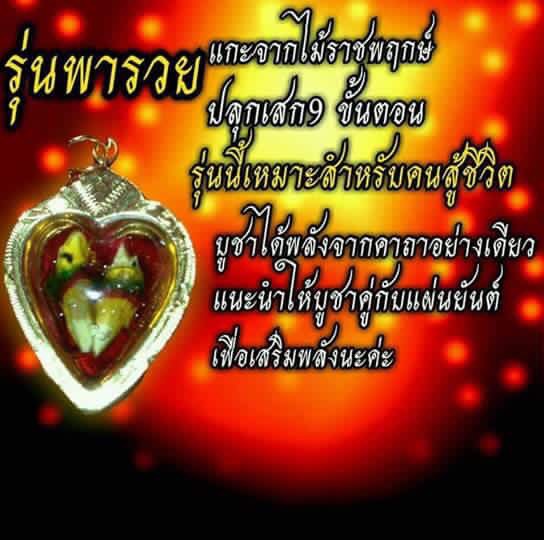 วัตถุมงคล ค้าขายดี เสริมเสน่ห์ เมตตา มหานิยม สาริกาลิ้นทอง สายขาว 1 เดียวในไทย รูปที่ 6
