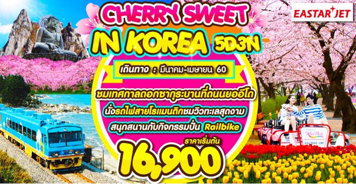 ทัวร์เกาหลี 5 วัน 3 คืน CHERRY SWEET IN KOREA บิน ZE  ดูซากุระที่ยออิโด เดินทาง มีค ถึง เม.ย 60 รูปที่ 1