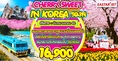 ทัวร์เกาหลี 5 วัน 3 คืน CHERRY SWEET IN KOREA บิน ZE  ดูซากุระที่ยออิโด เดินทาง มีค ถึง เม.ย 60