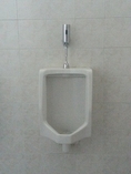 Urinal Flusher 