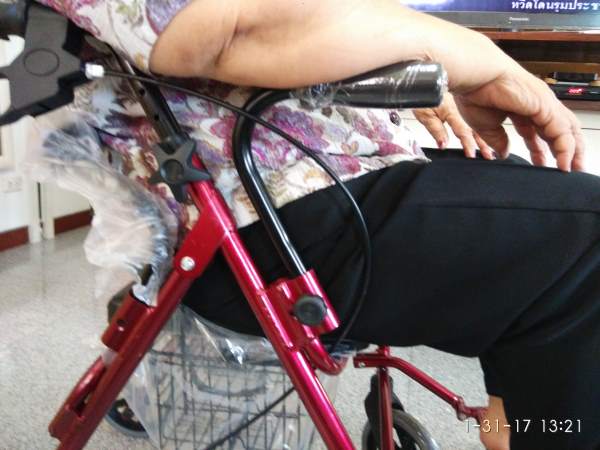 qSENIOR รถเข็นช่วยเดิน Rollator รุ่น 46LD (2017)  หัดเดิน พยุงเดิน พร้อมที่พักขา และพยุงแขน ผู้สุงอายุ ผู้ป่วย รูปที่ 3