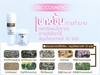 รูปย่อ SSC Cosmetic คัดสรรเฉพาะสมุนไพรอันดับหนึ่งในการรักษาฝ้า กระ จุดด่างดำ รูปที่2