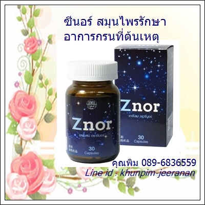 Znor ซีนอร์ หยุดอาการนอนกรนด้วย znor (ซีนอร์) ยาขับลม แก้นอนกรนสมุนไพรจากธรรมชาติจากสมุนไพรธรรมชาติ บรรจุ30 Capsules รูปที่ 1