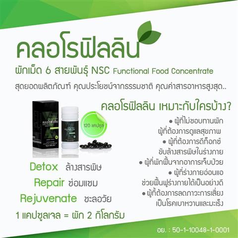 จำหน่าย คลอโรฟิลลิน ของแท้ 100% นำเข้าจากอเมริกา รูปที่ 7