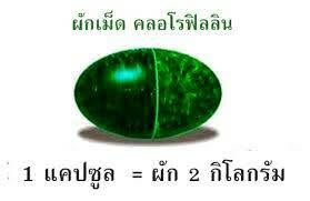 จำหน่าย คลอโรฟิลลิน ของแท้ 100% นำเข้าจากอเมริกา รูปที่ 4