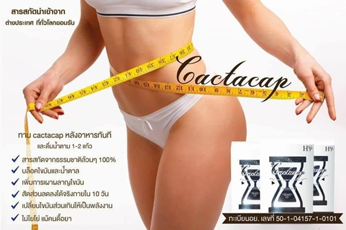 Cactacap ช่วยเผาผลาญไขมัน บล็อคไขมันและน้ำตาล เปลี่ยนไขมันส่วนเกินให้เป็นพลังงาน ไม่โยโย่แม้คนดื้อยา รูปที่ 1