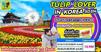 คนรักทิวลิปห้ามพลาด! ทัวร์เกาหลีใต้ 5 วัน 3คืน รูปที่ 1