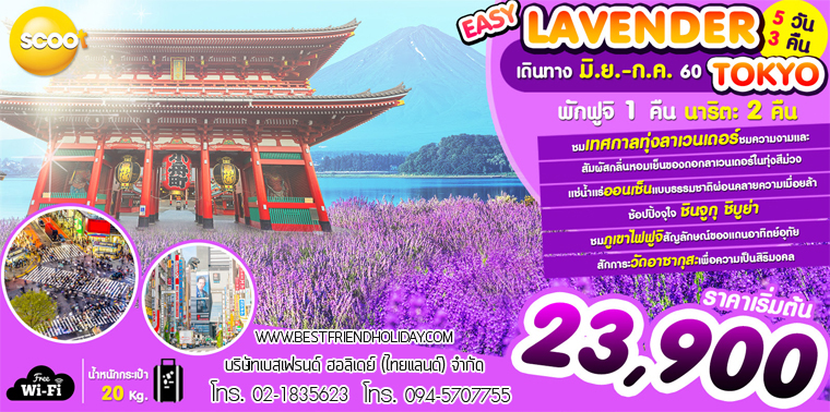 วร์ญี่ปุ่น โตเกียว ฟูจิ 5 วัน 3 คืน ราคา 23900 บาท  รูปที่ 1