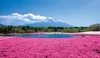 รูปย่อ DarakornTravel ทัวร์ญี่ปุ่น HOKKAIDO SLOW LIFE SPRING & SUMMER 6 วัน 4 คืน (HB) รูปที่2