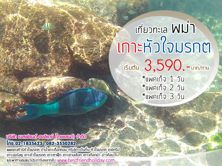 ทัวร์เกาะหัวใจมรกต หมู่เกาะพม่า เริ่มต้น 3500 บาท รูปที่ 1