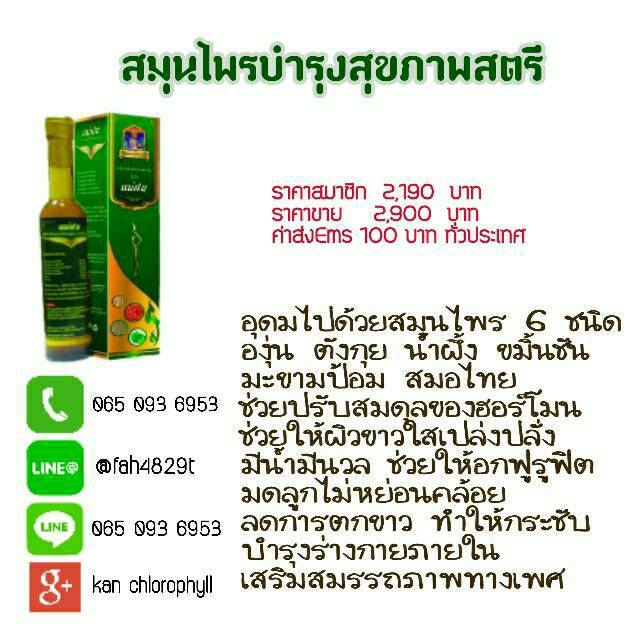 กาแฟ ลดน้ำหนัก MEO COFFEE รูปที่ 3