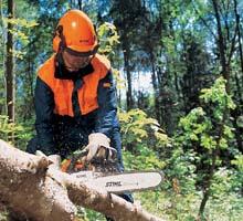 เลื่อยยนต์ STIHL MS180 รูปที่ 2