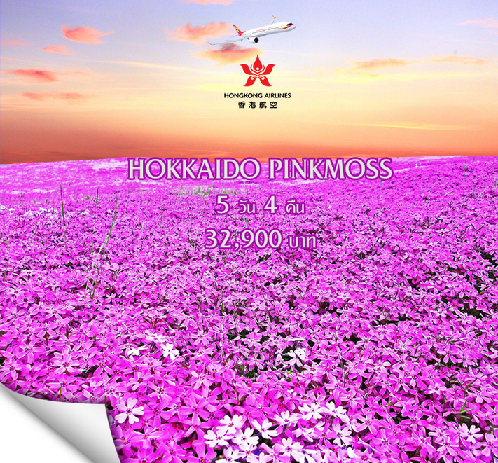 ทัวร์ญี่ปุ่น Hokkaido Pink Moss & Tulip 5 วัน 4 คืนบินHX เดินทางพฤษภาคม  2560 รูปที่ 1