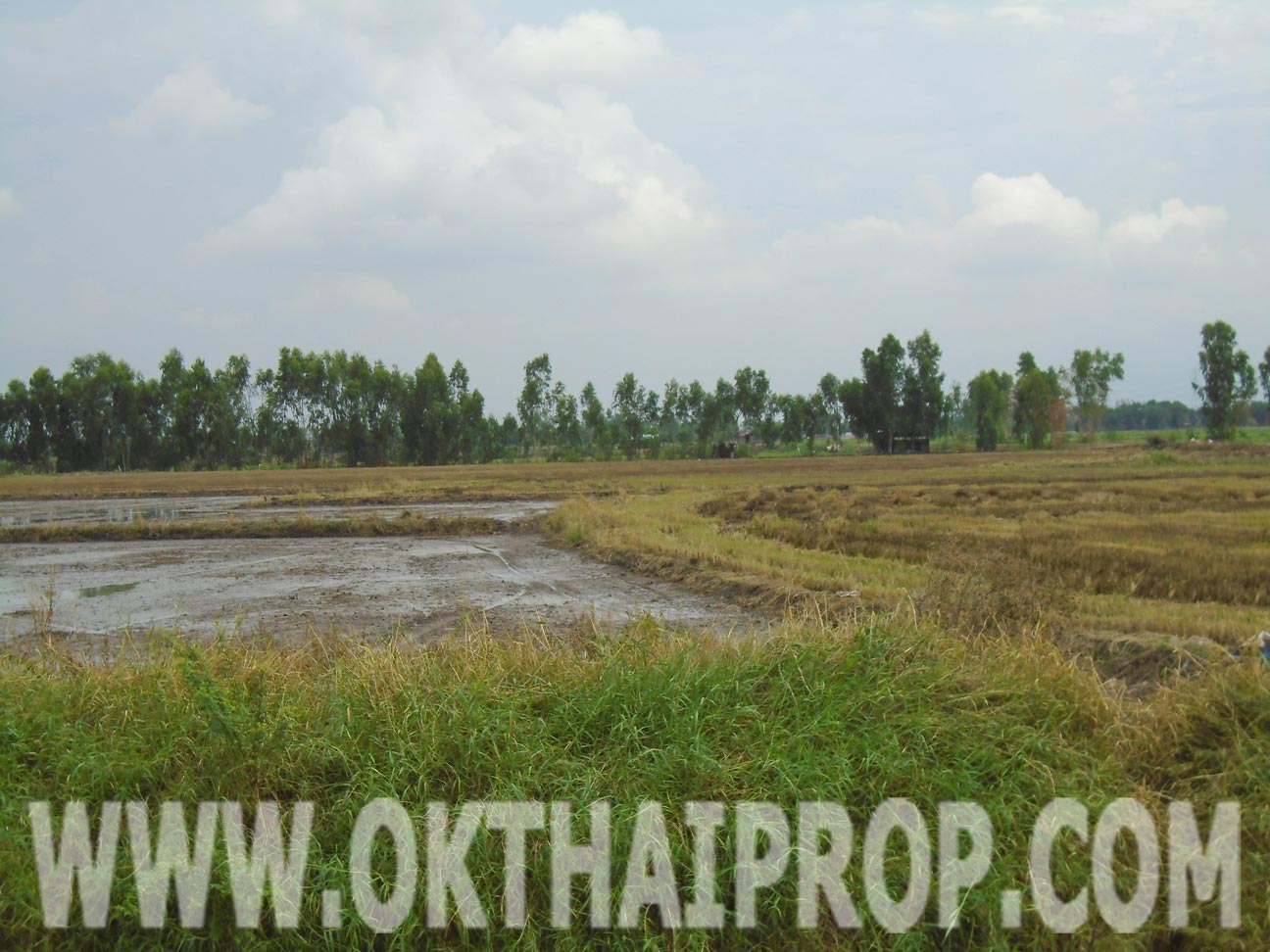 ที่ดิน ถ.กาญจนาภิเษกวงแหวนตะวันตก (หมายเลข9) บางปะอิน รูปที่ 3