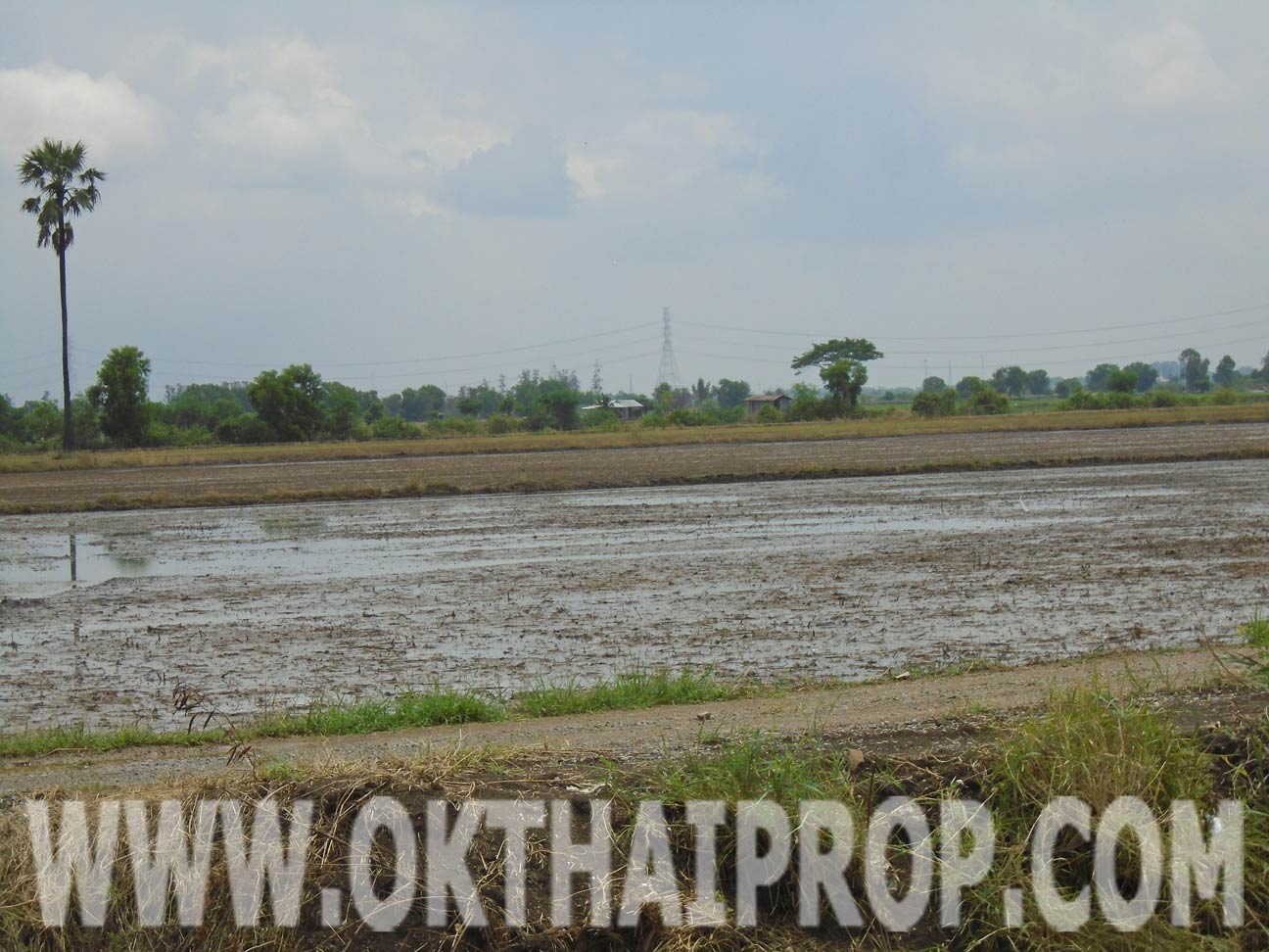ที่ดิน ถ.กาญจนาภิเษกวงแหวนตะวันตก (หมายเลข9) บางปะอิน รูปที่ 6