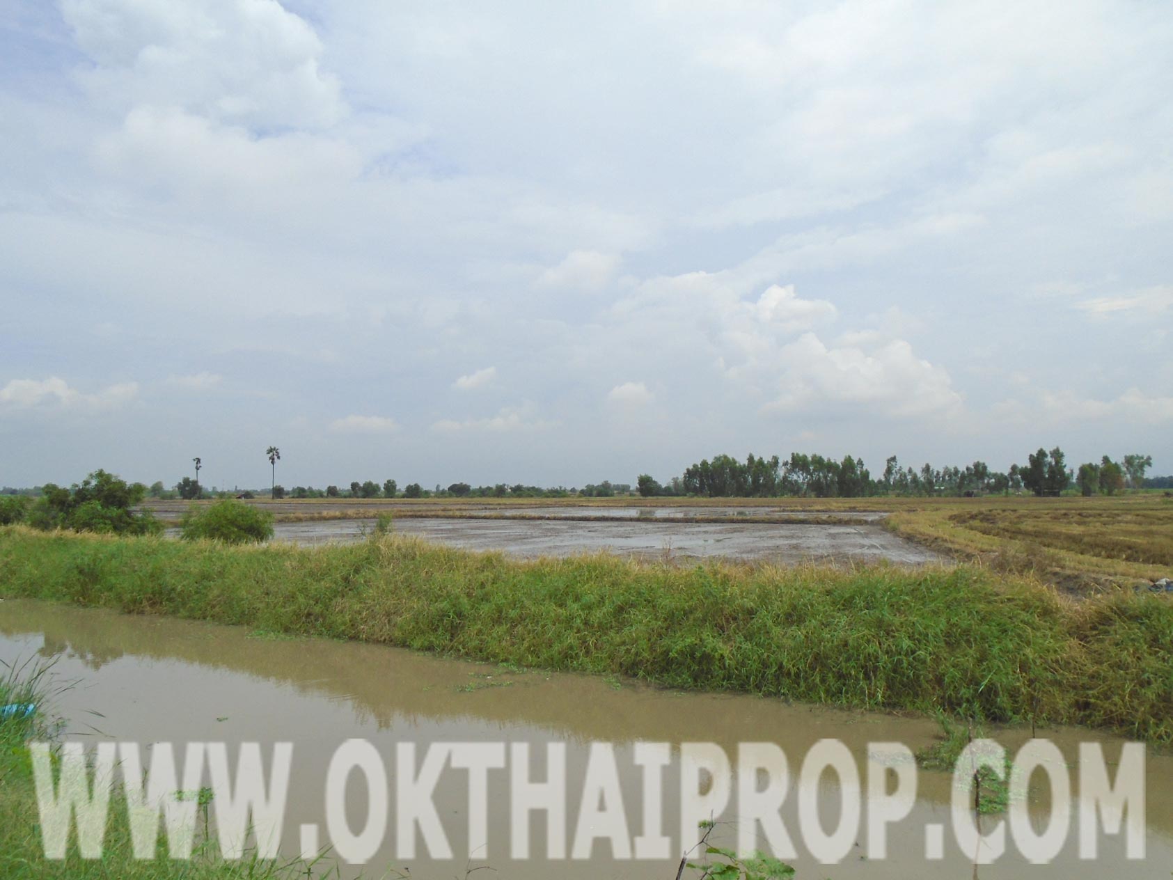ที่ดิน ถ.กาญจนาภิเษกวงแหวนตะวันตก (หมายเลข9) บางปะอิน รูปที่ 5