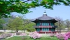 รูปย่อ DarakornTravel ทัวร์เกาหลี SPRING IMPRESSION IN KOREA 5 วัน 3 คืน (XJ) รูปที่2