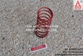 Dungs Setpoint Spring 25-55mbar RP1/2