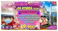 ทัวร์เกาหลี SPRING 5D3N XJ 9900 พค60