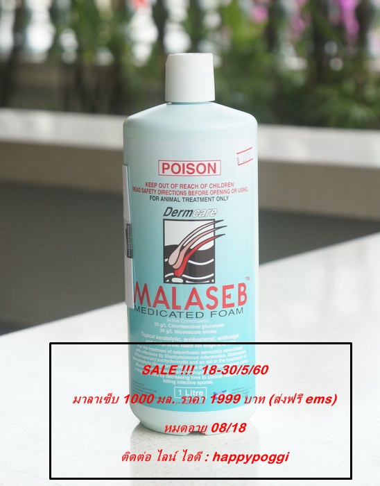 แชมพูมาลาเซ็บ 250 ml. และ 1000 ml. รูปที่ 2