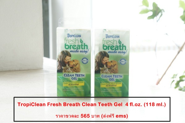 Fresh Breath Clean Teeth Gel (ส่งฟรี ems) รูปที่ 1