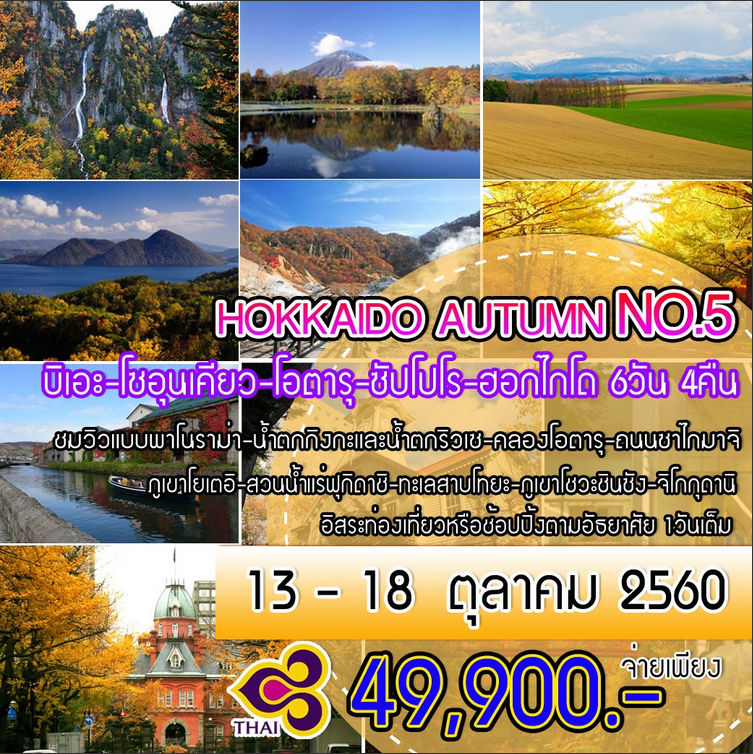 ทัวร์ญี่ปุ่นHOKKAIDO AUTUMN NO.5 BY TG 6 วัน 4 คืน บุฟเฟ่ต์เมนูขาปูยักษ์   อิ่มไม่อั้น รูปที่ 1