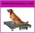 เครื่องชั่งสัตว์ เครื่องชั่งสัตว์เลี้ยง  300 kg ค่าละเอียด 50g Pet Scales TCS-D300 300kg 50g รุ่น TCS-D300 ยี่ห้อ CST