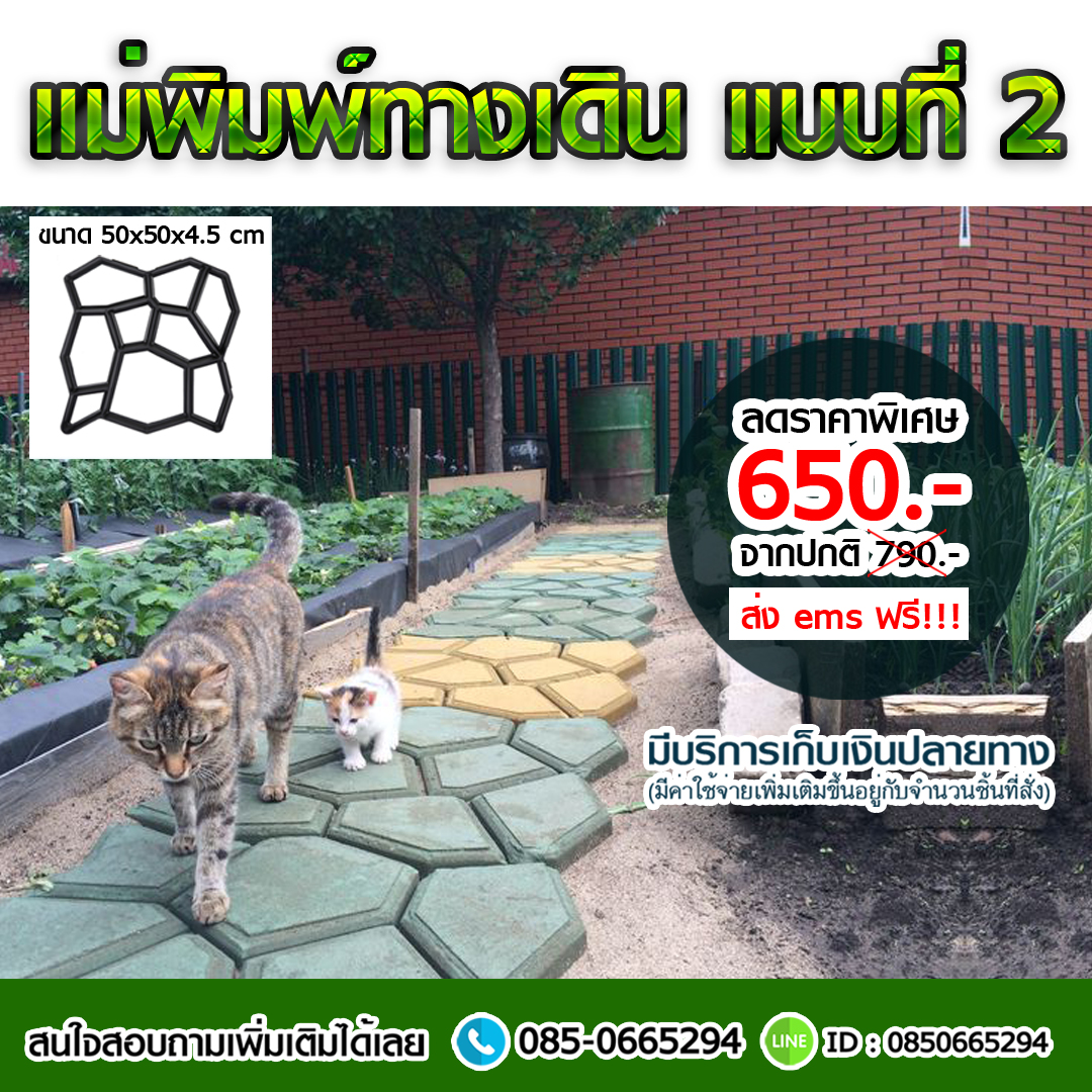 แม่พิมพ์ทางเดิน DIY บล็อกพิมพ์ทางเดิน ราคาถูก รูปที่ 4