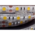 ไฟเส้น LED Strip 5050 60LED/m IP65