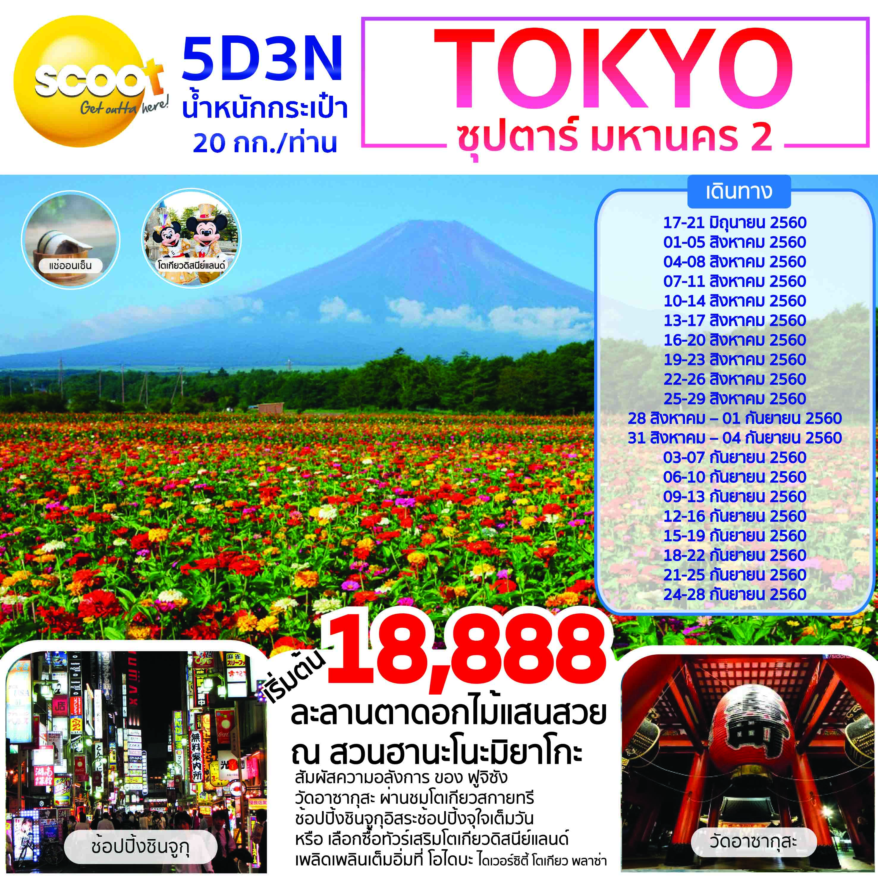 ทัวร์ญีุปุ่น โตเกียว ชมดอกไม้ มิ.ย-ก.ย 60 เริ่มต้น 18,888 บาท รูปที่ 1