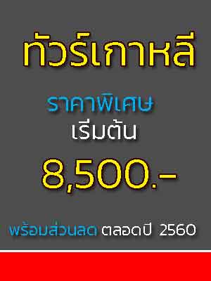 ทัวร์เกาหลี โซล 5 วัน 3 คืน ราคา 8500 บาท รูปที่ 1