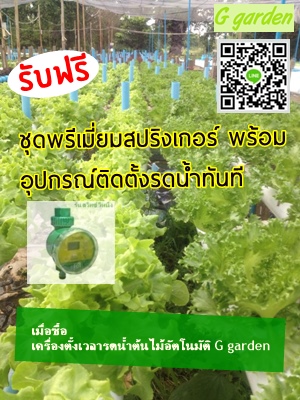 จำหน่ายเครื่องตั้งเวลารดน้ำ แปลงผักไฮโดรโปรนิกส์  รูปที่ 7