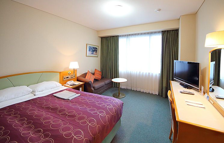โปรโมชั่นห้องพัก Narita Excel Hotel Tokyu โตเกียว รูปที่ 1
