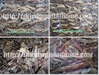 รูปย่อ อาหารทะเลแปรรูป ปลาหมึกแห้งมหาชัย ปลาหมึกแห้งขายส่ง อาหารทะเลอบแห้งมหาชัย รูปที่1