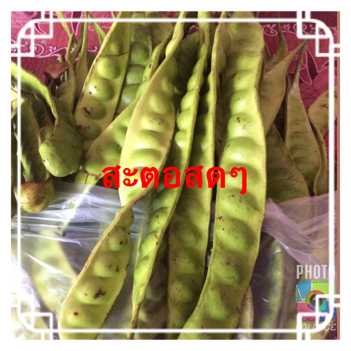 สะตอปักษ์ใต้มาแล้วหรอยหนัดกินได้ทั้งผู้ใหญ่และเด็กหรอยคำเตือนระวังจะกินไม่หยุด!! รูปที่ 5