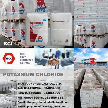  โพแทสเซียมคลอไรด์, โปตัสเซียมคลอไรด์, โปแตสเซียมคลอไรด์, Potassium chloride price รูปที่ 1