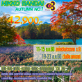 ทัวร์ญี่ปุ่น Nikko Bandai Autumn No1 นิกโก้ บันได ฟุกุชิมะ คาวาโกเอะ ชมใบไม้เปลี่ยนสี 5วัน3คืนบิน TG